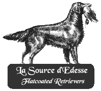 Zwinger de la Source d'Edesse Banner von Raven's Zwinger